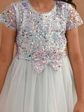 Sequin Bow Detail Fit n Flare Partywear Dress