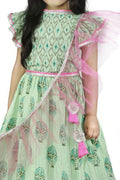 Lilpicks Frilly Cute Green Pink Lehenga Set