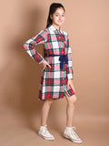 Checkered Print Button Down Shirt Collar Dress