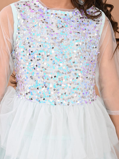 Sequin Embellished Knee Length Fit & Flare Net Dress