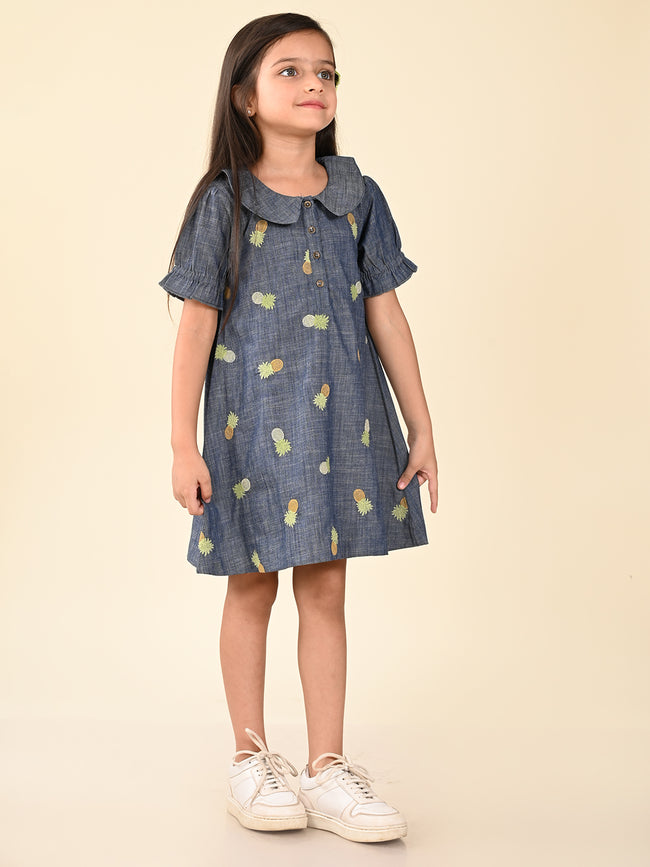 Pineapple Applique Button Down A-line Denim Dress