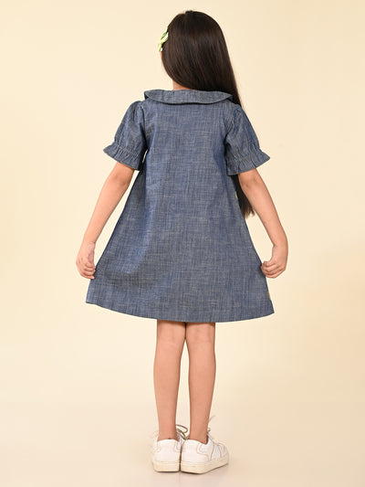 Pineapple Applique Button Down A-line Denim Dress
