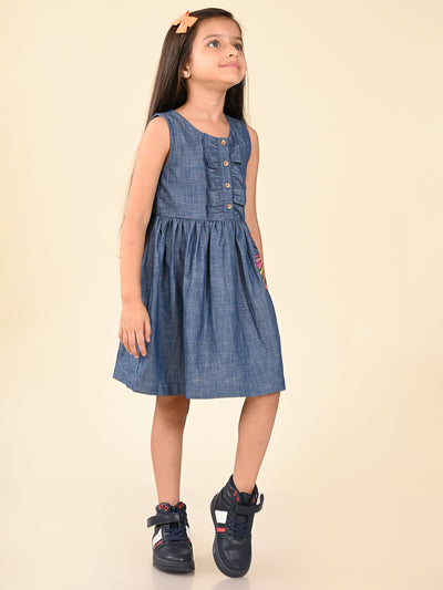 Butterfly Applique Button Down Fit n Flare Denim Dress