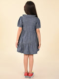 Solid Button Down Drop Waist Denim Dress