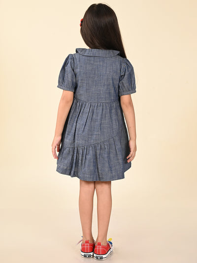 Solid Button Down Drop Waist Denim Dress
