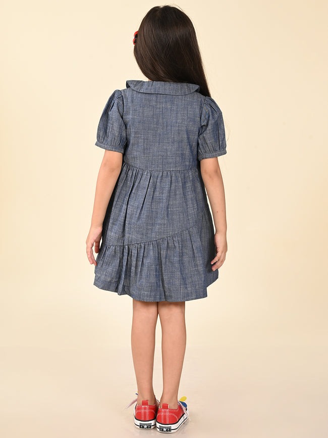 Solid Button Down Drop Waist Denim Dress