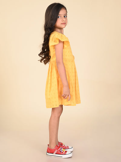 Schiffli Embroidered Knee Length Fit n Flare Dress