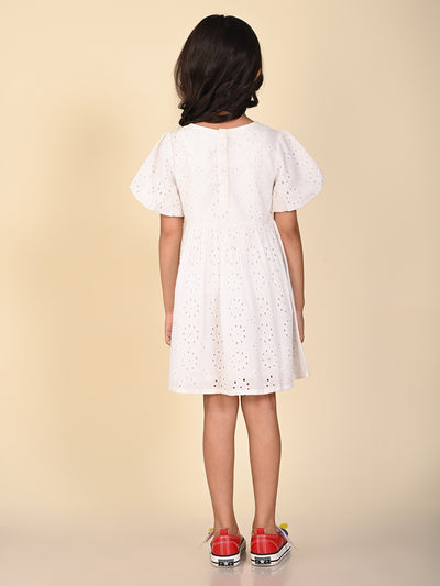 Schiffli Embroidered Knee Length Fit n Flare Bow Dress