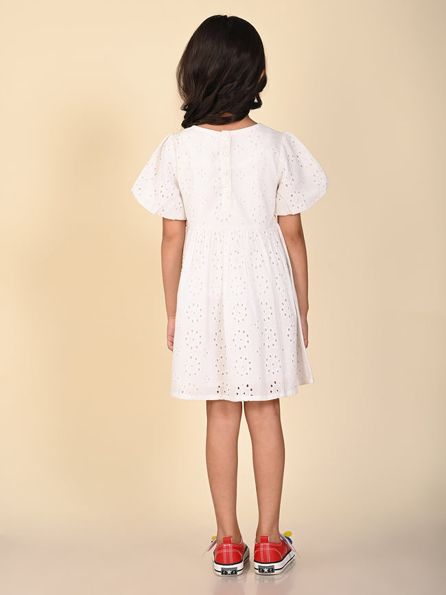 Schiffli Embroidered Knee Length Fit n Flare Bow Dress