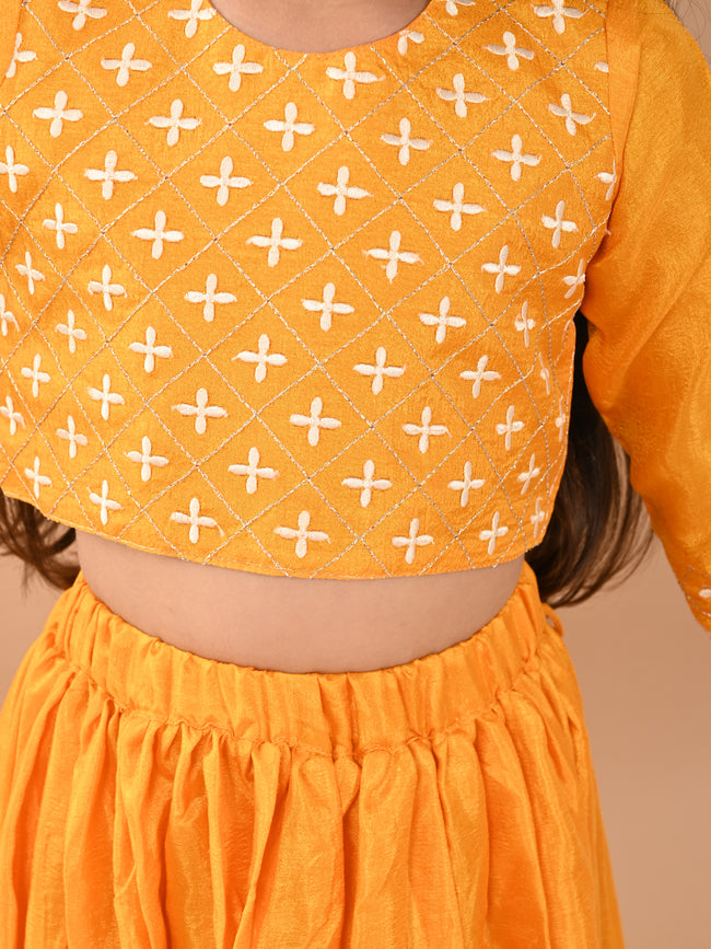 Embroidered Flared Lehenga Choli Set with Dupatta