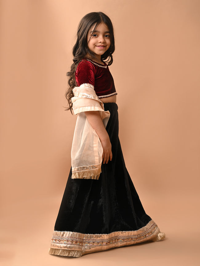 Gota Patti Embellished Lehenga Choli Set with Dupatta