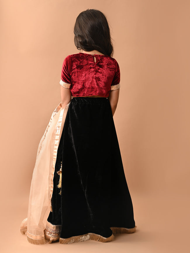 Gota Patti Embellished Lehenga Choli Set with Dupatta