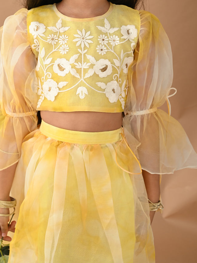 Flowers Embroidered Net Balloon Sleevless Lehenga Choli Set