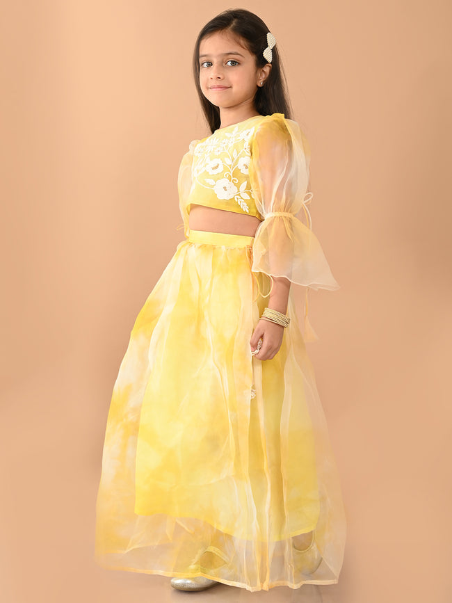 Flowers Embroidered Net Balloon Sleevless Lehenga Choli Set