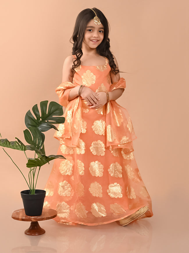 Zari Embellished Sleeveless Flared Lehenga Choli Set with Dupatta