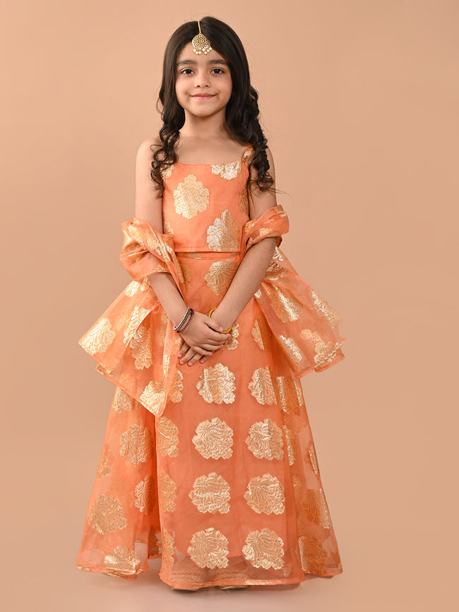Zari Embellished Sleeveless Flared Lehenga Choli Set with Dupatta