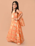 Zari Embellished Sleeveless Flared Lehenga Choli Set with Dupatta