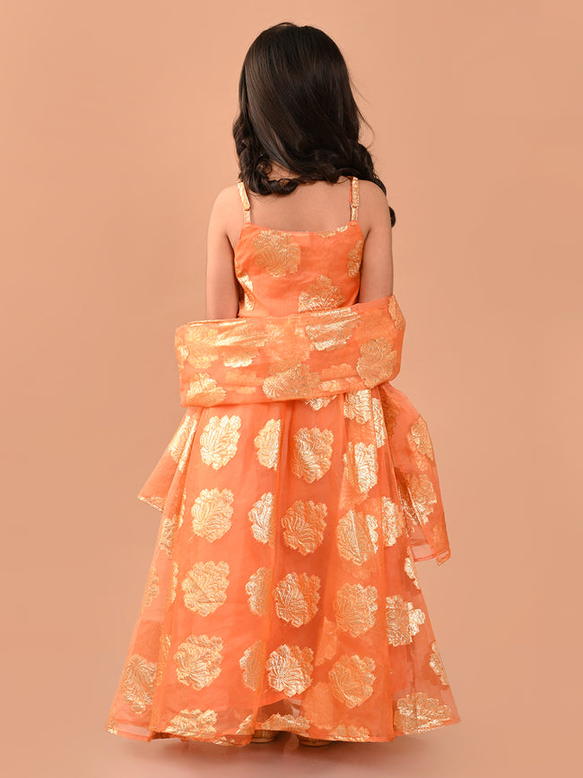 Zari Embellished Sleeveless Flared Lehenga Choli Set with Dupatta