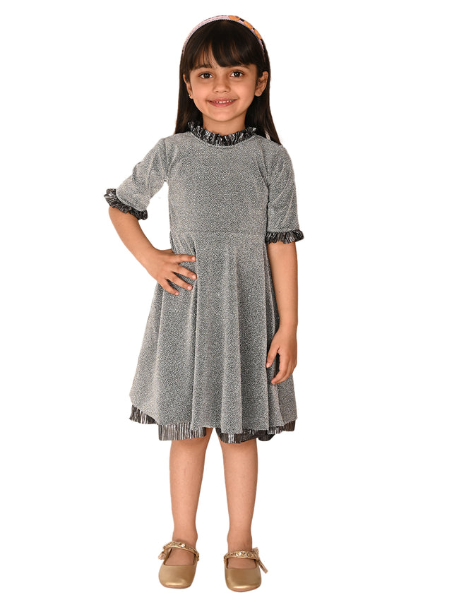 Shimmery Metalic Fit n Flare Party Dress