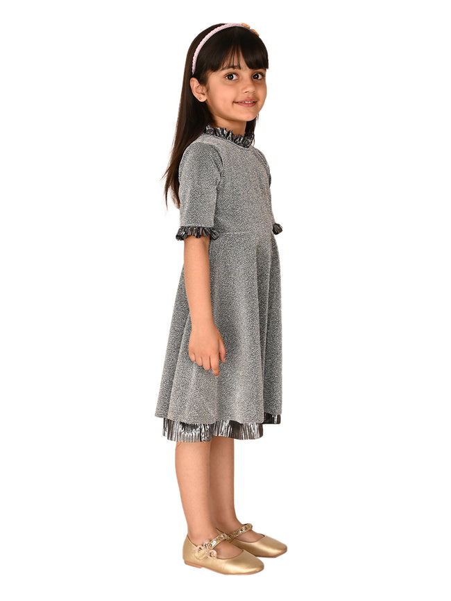 Shimmery Metalic Fit n Flare Party Dress