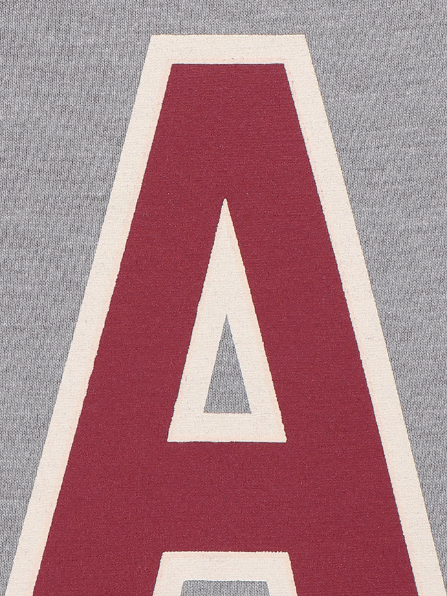 LilPicks Grey Sport Print Polo Dress