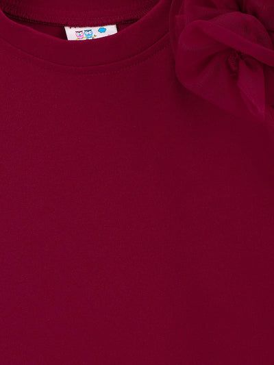 Wine Mesh Detailing Designer Dress