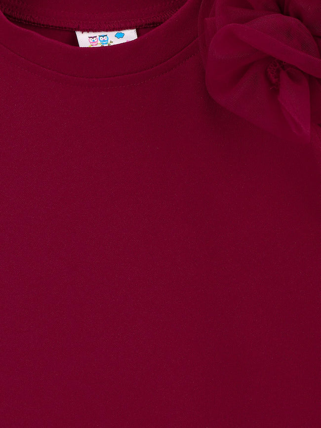 Wine Mesh Detailing Designer Dress