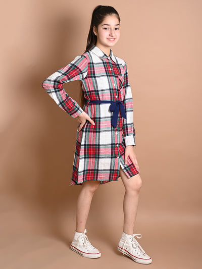 Checkered Print Button Down Shirt Collar Dress