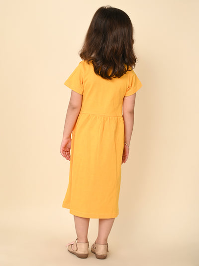 Solid Frill Design Fit n Flare Dress