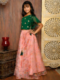 One Shoulder Choli with Floral Lehenga Set